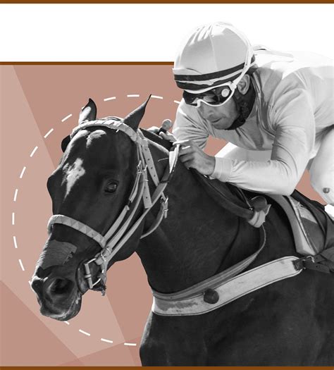 grand national on tv today